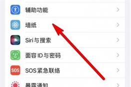苹果原壁纸怎么设置回来